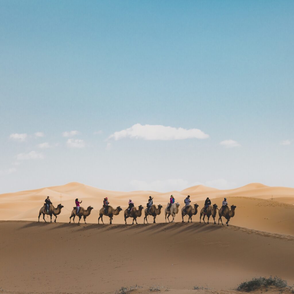 Sahara Desert Adventure