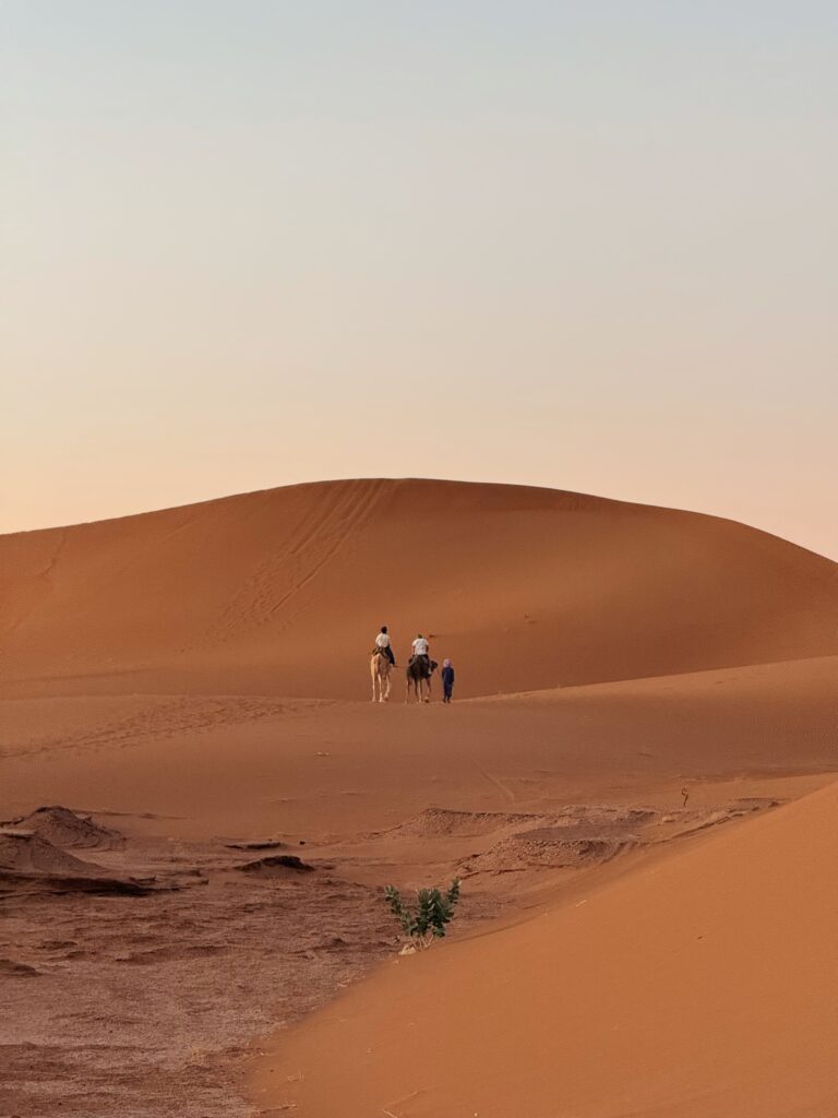 The Sahara Desert and Marrakech Tour